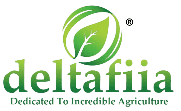 deltafiia HTML