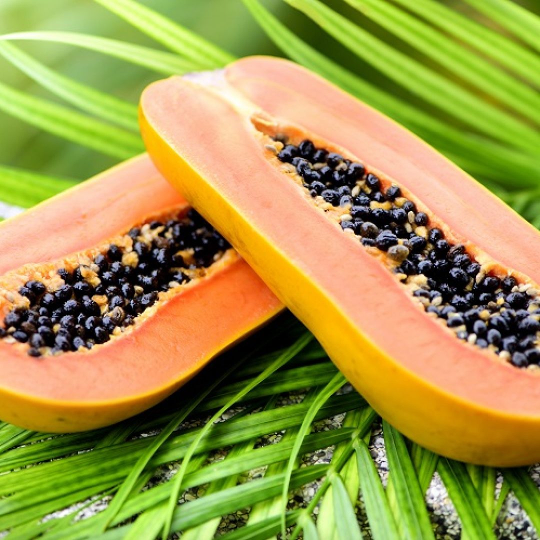 Brazil-study-Papaya-plants-have-nutrient-chemical-profile-benefiting-metabolic-syndrome.jpg